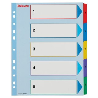 Przekładki kartonowe MYLAR A4 MAXI 1-5 ESSELTE 100207