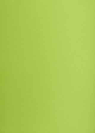 Karton kolorowy Oxford B2 225g 25ark nr.66 j.zielony 400150337 TOP-2000