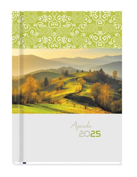 Terminarz Agenda A5 2025 Michalczyk i Prokop T-AGENDA-02 kalendarz 1 strona 1 tydzień + strona na notatki