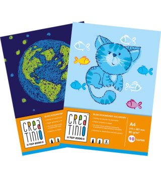 Blok do malowania Top 2000 Creatinio A3 20 kartek 120 g 400176687