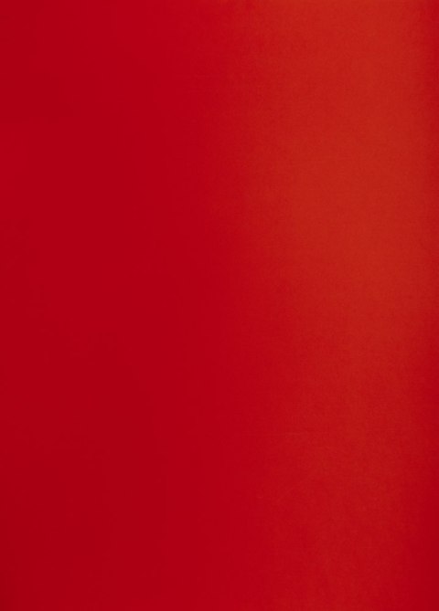 Karton kolorowy Oxford B2 225g 25ark nr.29 c.czerwony 400150333 TOP-2000