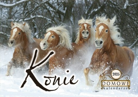 Terminarz Domowy 200x218mm 2025 - Konie Michalczyk i Prokop TW-10-6 KALENDARZ jednodzielny 200x285mm