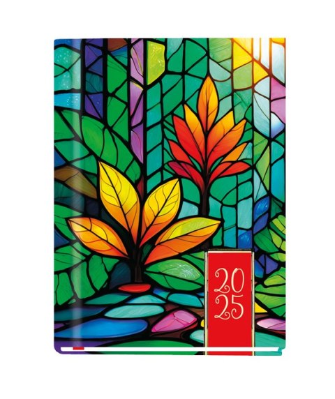 Terminarz MARTA B6 2025 Michalczyk i Prokop T-215F-02 120x165mm kalendarz 1 tydzień na 2 stronach