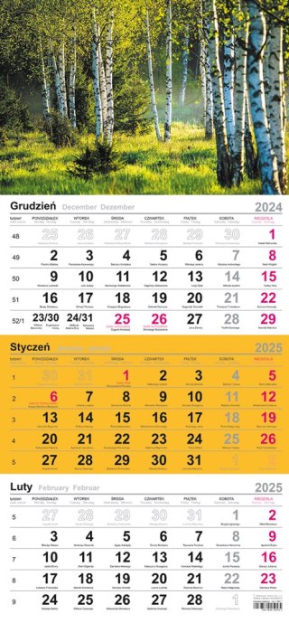 Kalendarz trójdzielny(H)2025 Michalczyk i Prokop T-106T-02