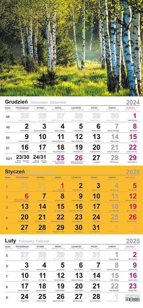 Kalendarz trójdzielny(H)2025 Michalczyk i Prokop T-106T-02