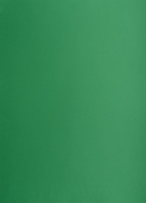 Karton kolorowy Oxford B2 225g 25ark nr.63 c.zielony 400150339 TOP-2000