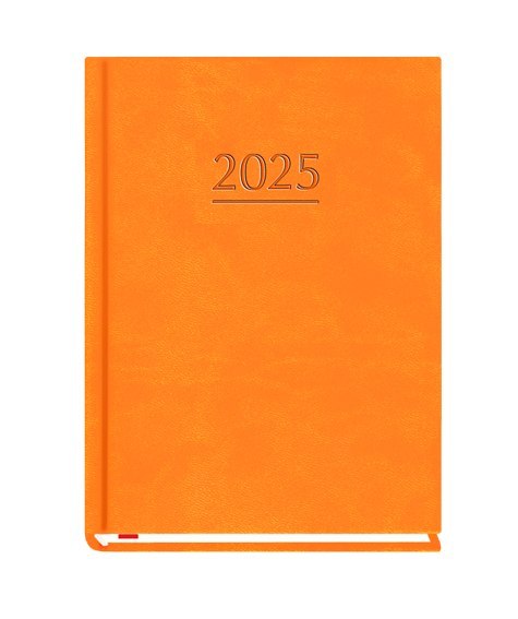 Terminarz OLA A6 2025 - pomarańczowy Michalczyk i Prokop T-212V-P KALENDARZ tydzień na 2 stronach