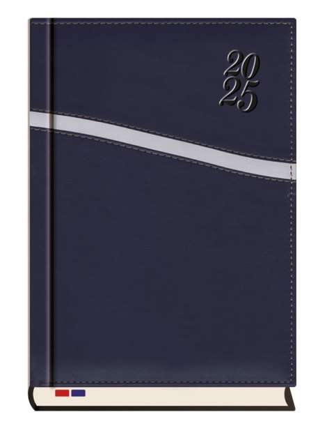 Terminarz Senator A5 2025 Michalczyk i Prokop T-240K-11 kalendarz dzienny + dodatkowe strony po zakończeniu miesiąca