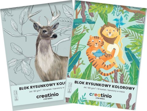 Blok rysunkowy Top 2000 Creatinio A4 10 kartek 80 g kolor 400176665