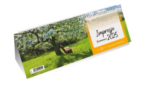 Terminarz IMPRESJE-ze spiralką 2025 Michalczyk i Prokop T-095-2-1 KALENDARZ 290x100mm tygodniowy