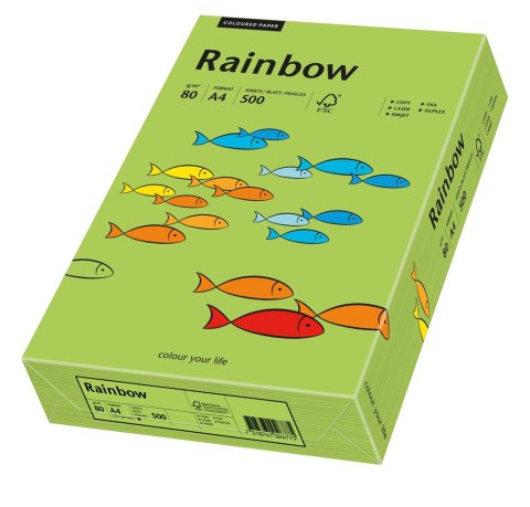Papier A3 80g R76 zielony RAINBOW 88042654