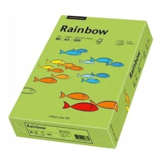 Papier xero kolorowy A4 160g zielony R76 RAINBOW 88042659