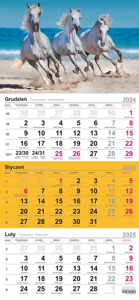 Kalendarz trójdzielny(H)2025 Michalczyk i Prokop T-106T-04