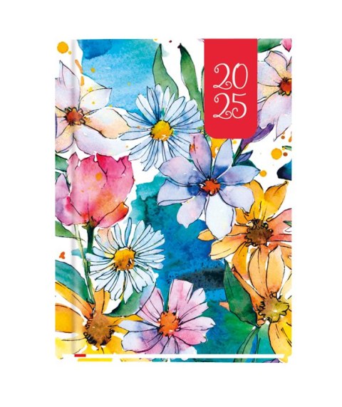 Terminarz OLA A6 2025 Michalczyk i Prokop T-212F-03 KALENDARZ tydzień na 2 stronach