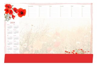 Terminarz-Planer B3 z listwą 2025 Maki Michalczyk i Prokop T-2-B3-4 kalendarz