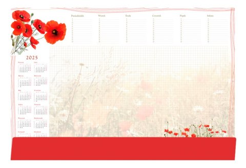 Terminarz-Planer B3 z listwą 2025 Maki Michalczyk i Prokop T-2-B3-4 kalendarz